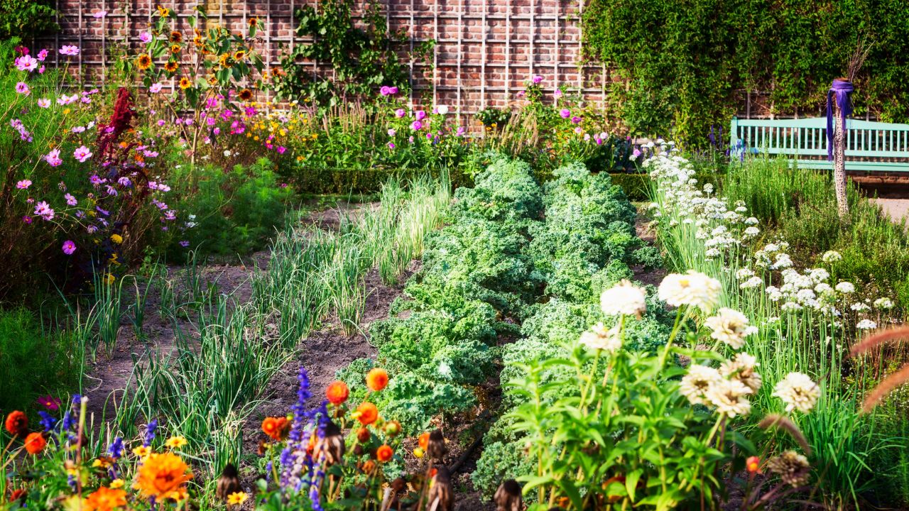 12 Flowers That Boost Your Vegetable Garden’s Health
